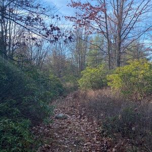 Meet your Posher, Joshua